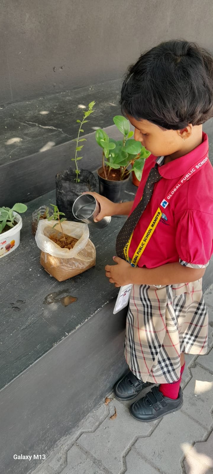 World Environmental Day
