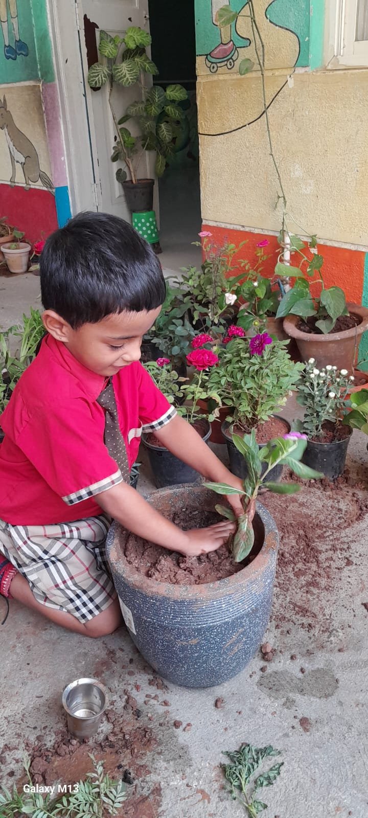 World Environmental Day