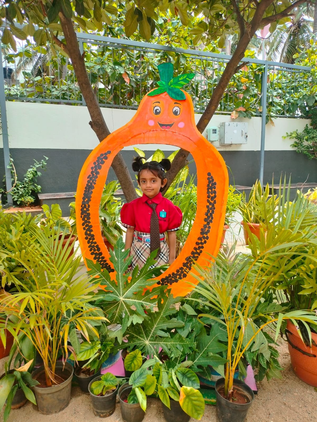 Papaya Day