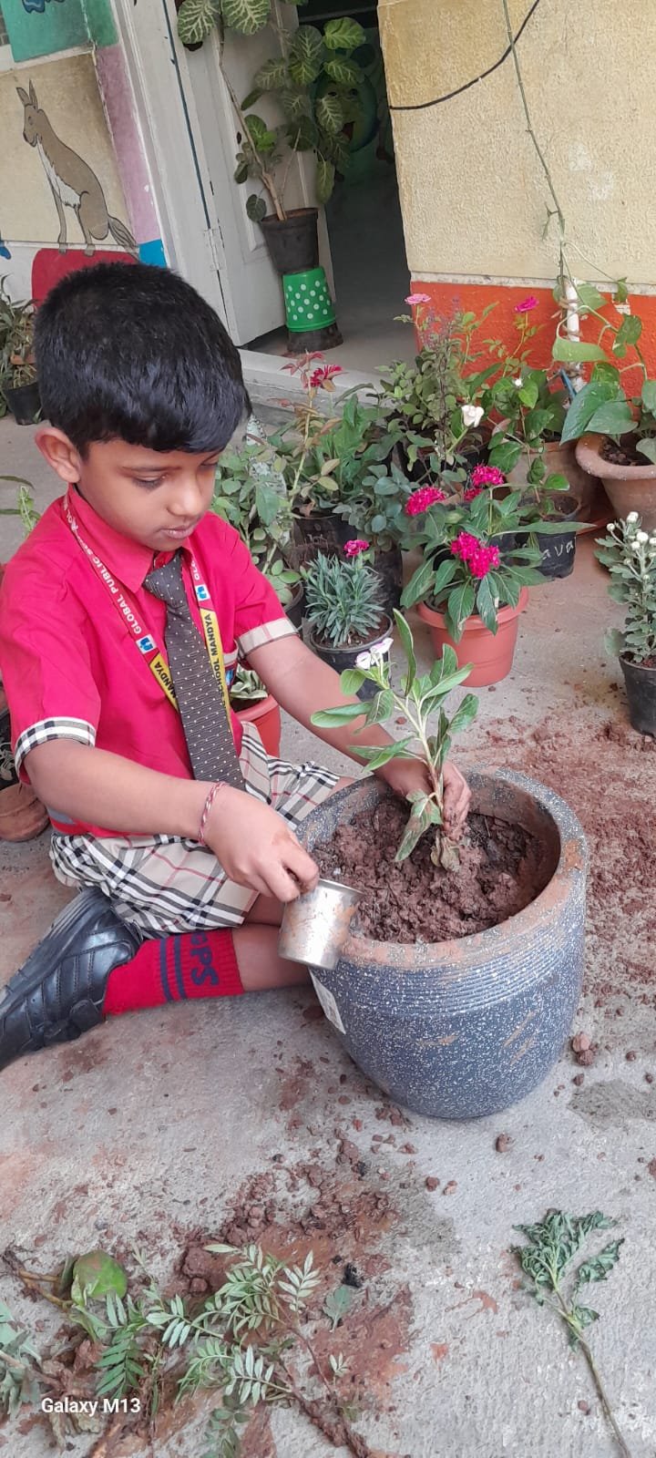 World Environmental Day